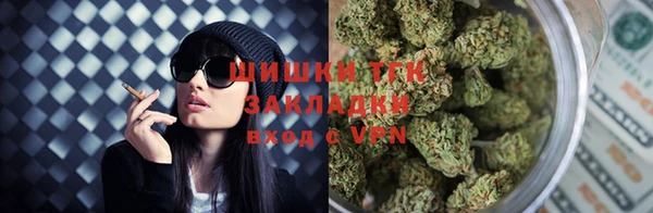 шишки Богородск