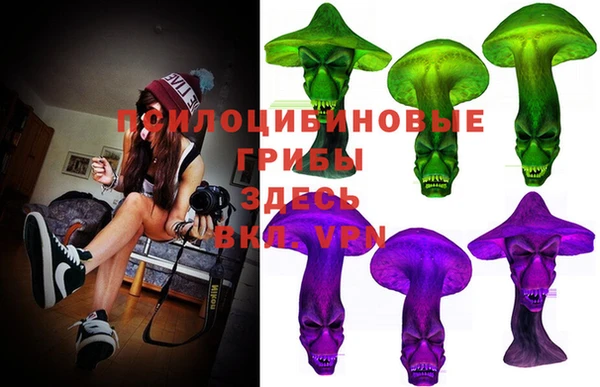 винт Бердск