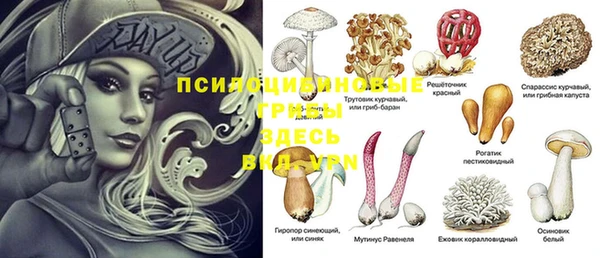 СК Богданович
