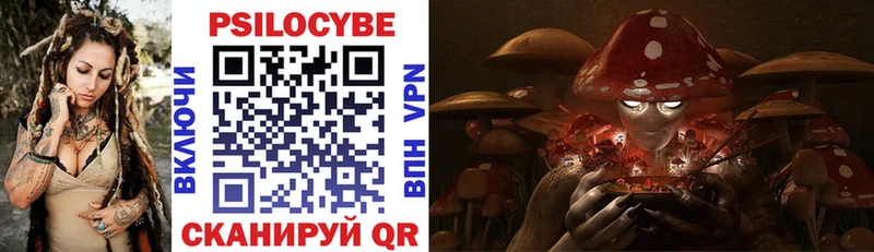 omg   продажа наркотиков  Дигора  Псилоцибиновые грибы Magic Shrooms 