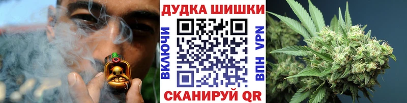 даркнет официальный сайт  Дигора  Канабис семена 